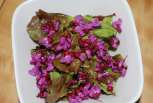 Redbud Salad